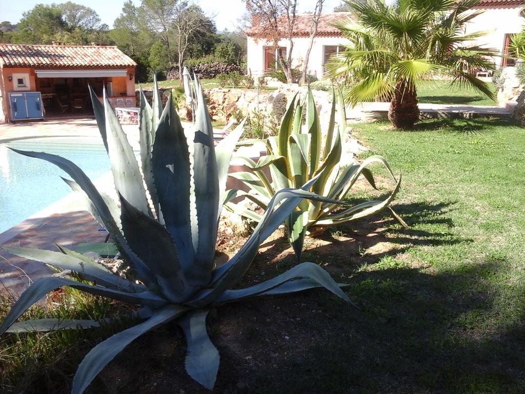 Hotel Mas Des Lys Roquebrune-sur Argens Esterno foto